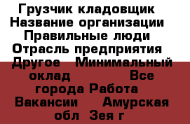 Грузчик-кладовщик › Название организации ­ Правильные люди › Отрасль предприятия ­ Другое › Минимальный оклад ­ 26 000 - Все города Работа » Вакансии   . Амурская обл.,Зея г.